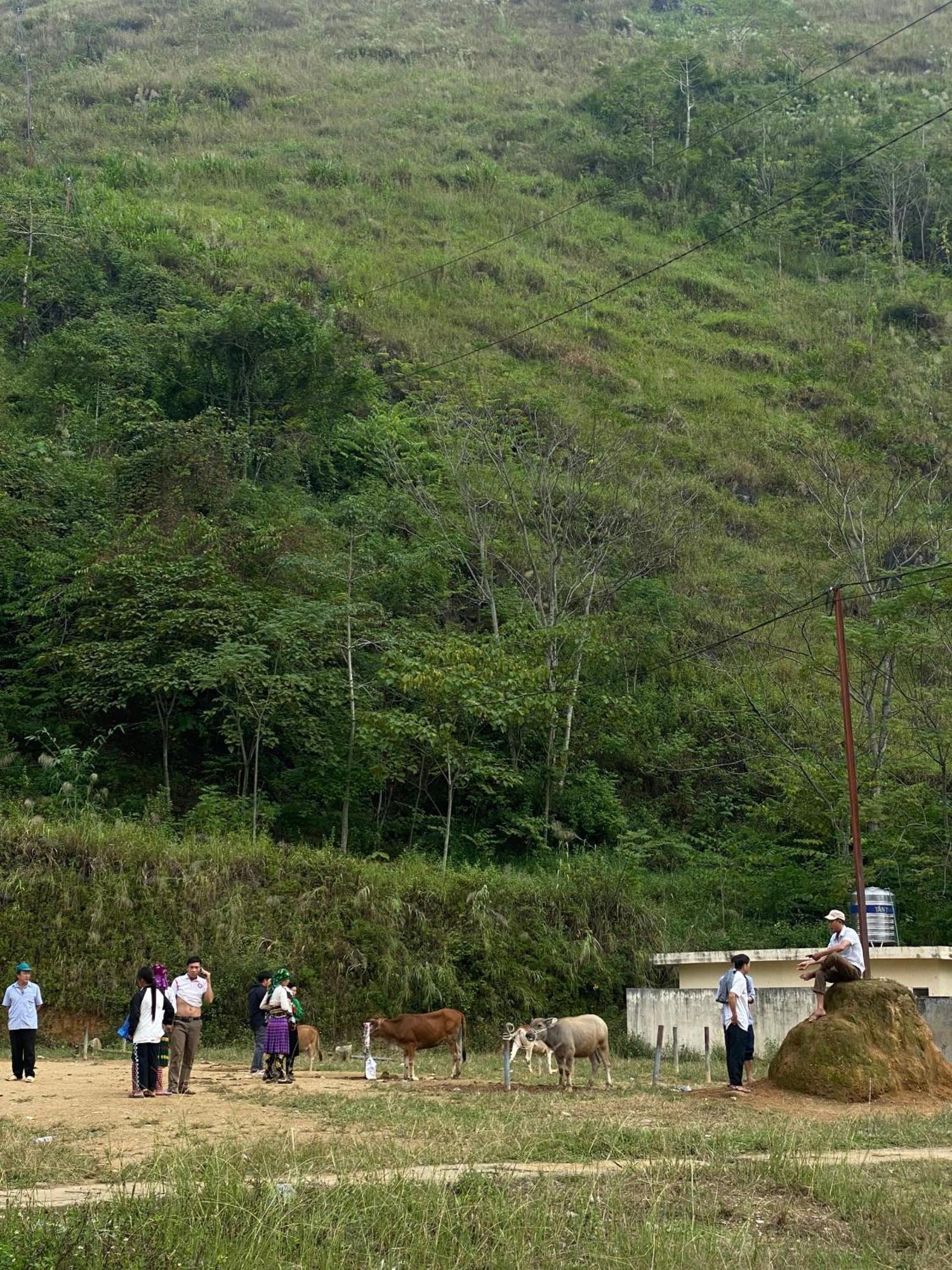 To Day Du Gia Village Làng Cac Esterno foto